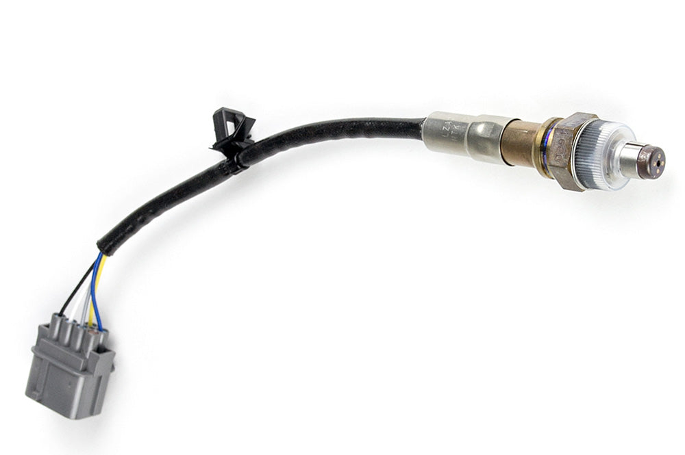 WB1 NTK - Single Channel CAN O2 Wideband Controller Kit Length: 1.2M (4ft) | 12Volt Motorsports