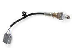 WB1 NTK - Single Channel CAN O2 Wideband Controller Kit Length: 1.2M (4ft) | 12Volt Motorsports