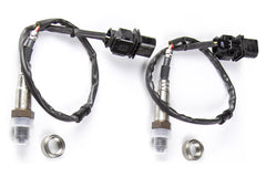 WB2 Bosch - Dual Channel CAN O2 Wideband Controller Kit Length: 1.2M (4ft) | 12Volt Motorsports