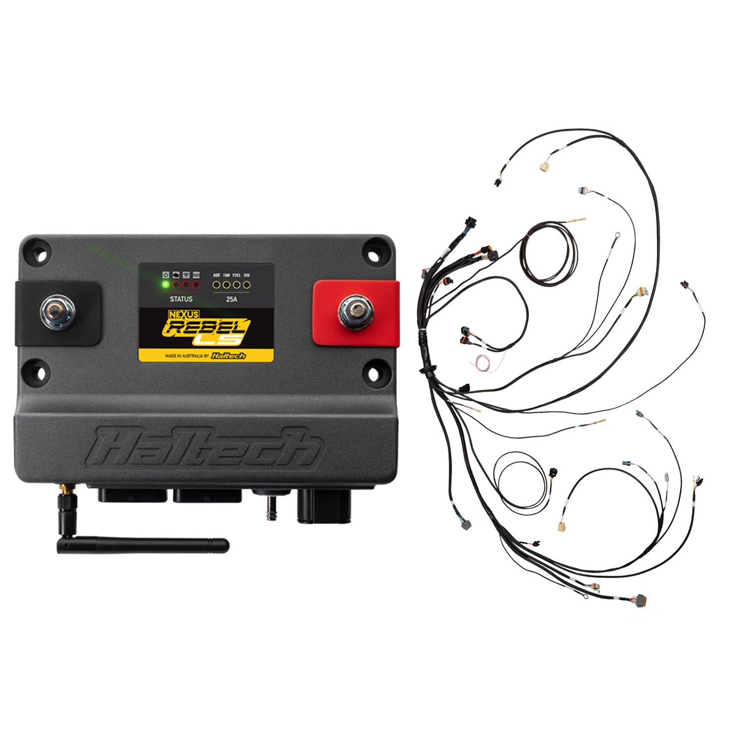 Haltech Nexus Rebel LS ECU, Suits GM Gen III